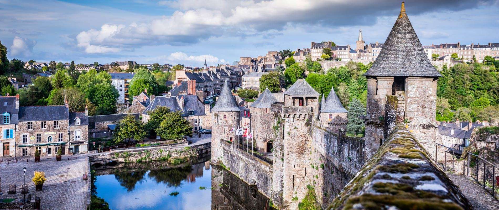 Ville e fougère